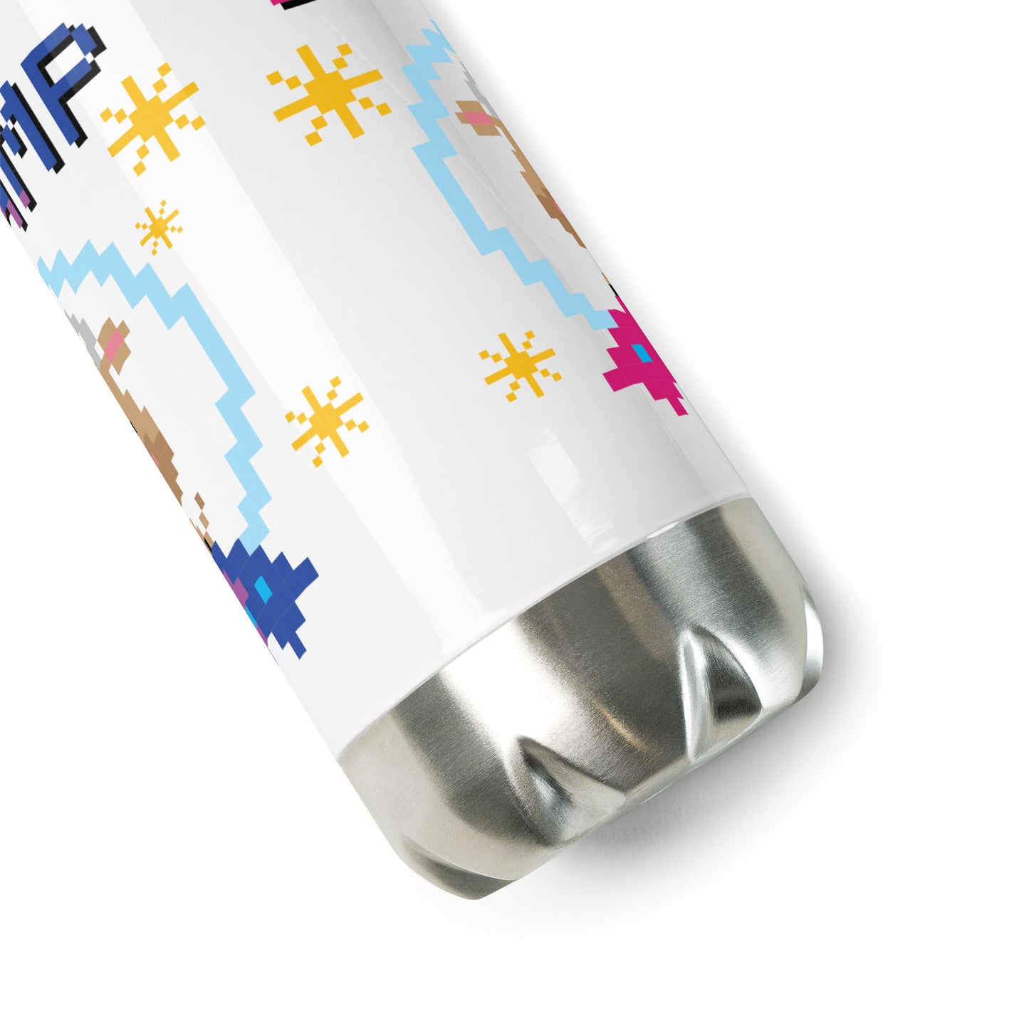 Stainless Steel Water Bottle