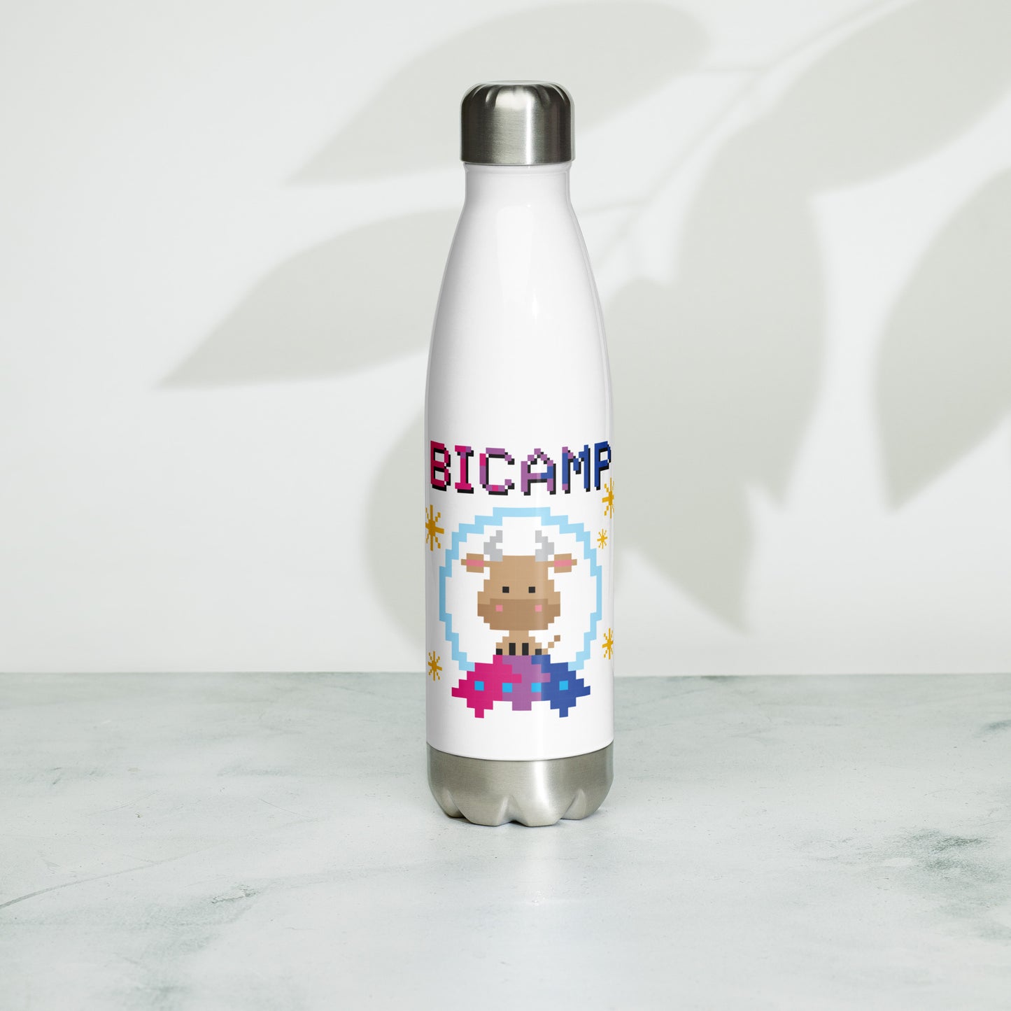 Stainless Steel Water Bottle