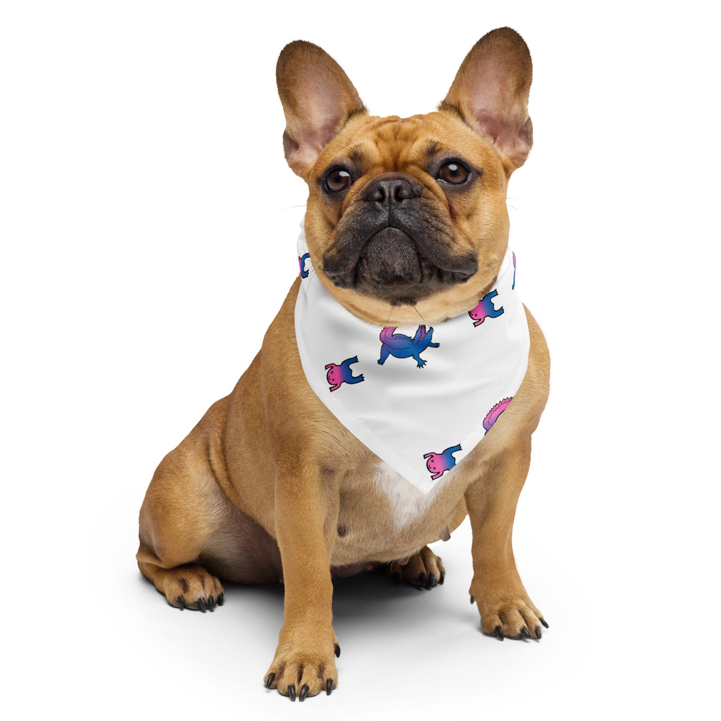 Frog and Gator Bandana